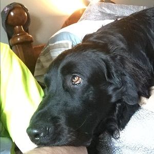 Meet your Posher, Chad